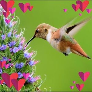 Meet your Posher, Lynette